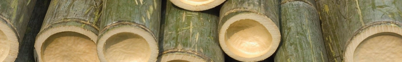 Bamboo Process