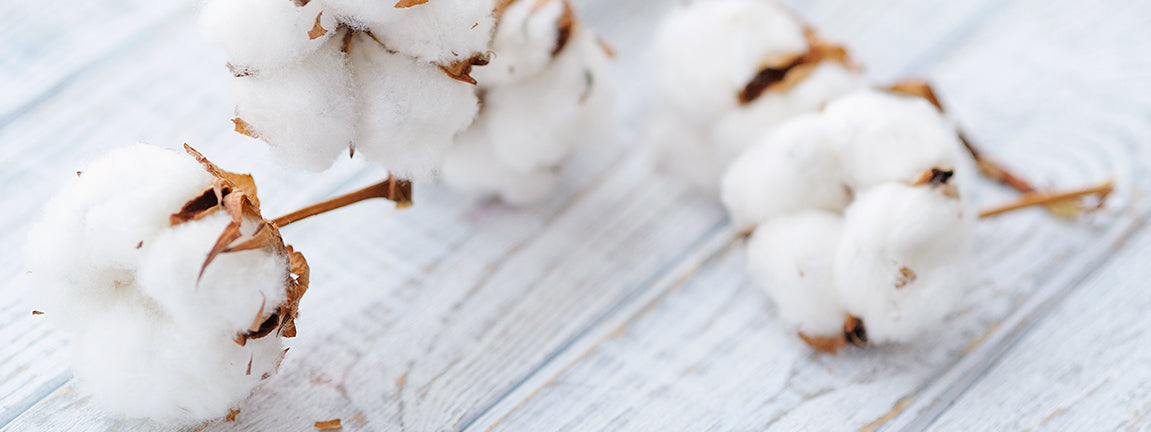 What is Organic Cotton?