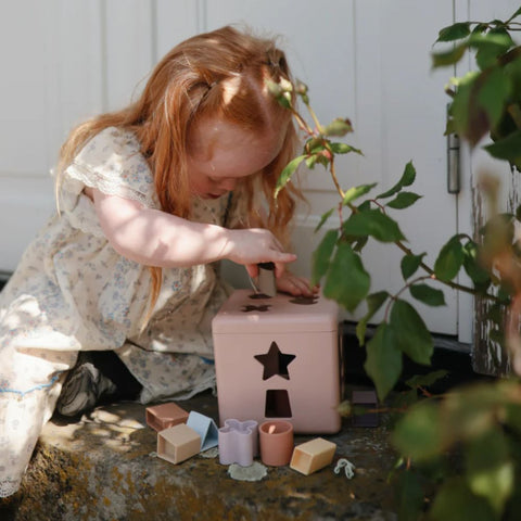 Shape Sorting Box Petal