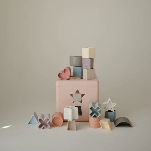 Shape Sorting Box Petal