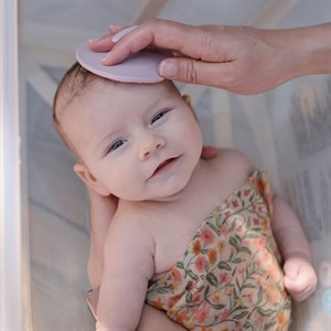 Cradle Cap Brush - 2 pack Rose/Soft Lilac