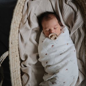 Swaddle - Boat