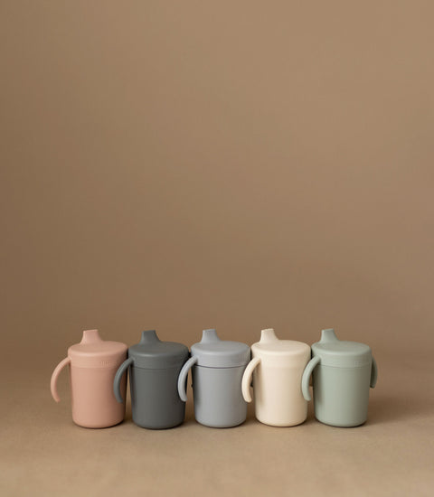 Trainer Sippy Cup with Handle - Smoke